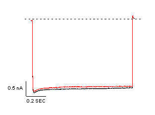 Kir2.1