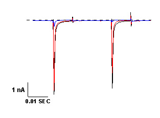 Nav1.7