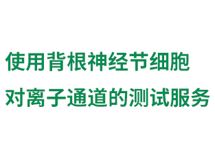 使用背根神经节细胞对...